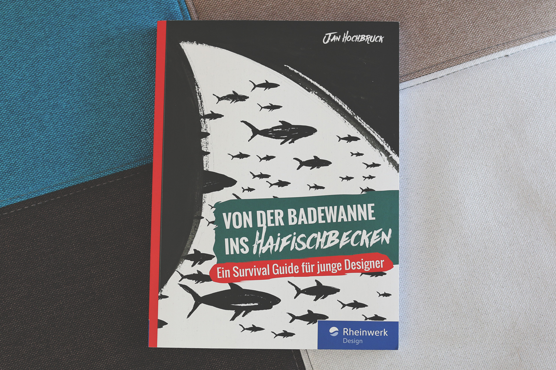 Von der Badewanne ins Haifischbecken   Jan Hochbruck   Rheinwerk (1)