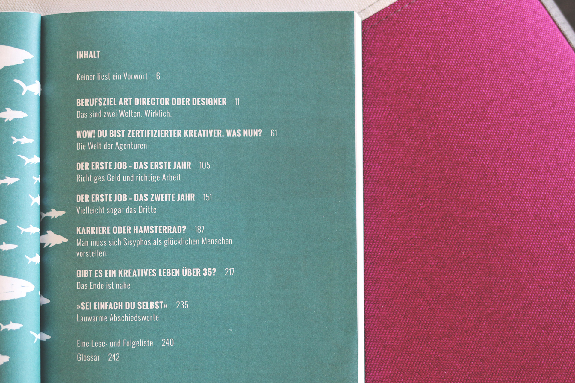 Von der Badewanne ins Haifischbecken   Jan Hochbruck   Rheinwerk (2)