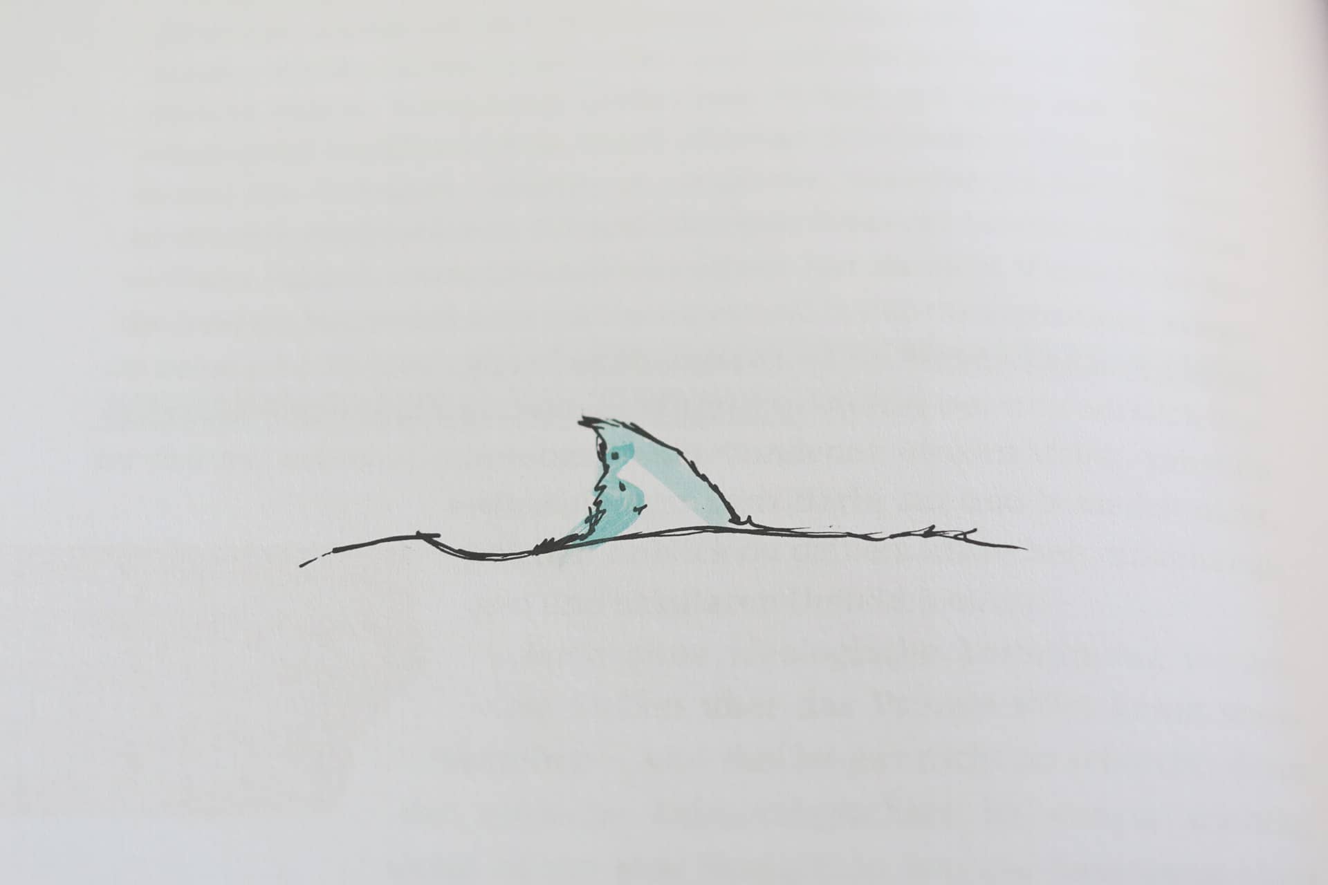 Von der Badewanne ins Haifischbecken   Jan Hochbruck   Rheinwerk (5)