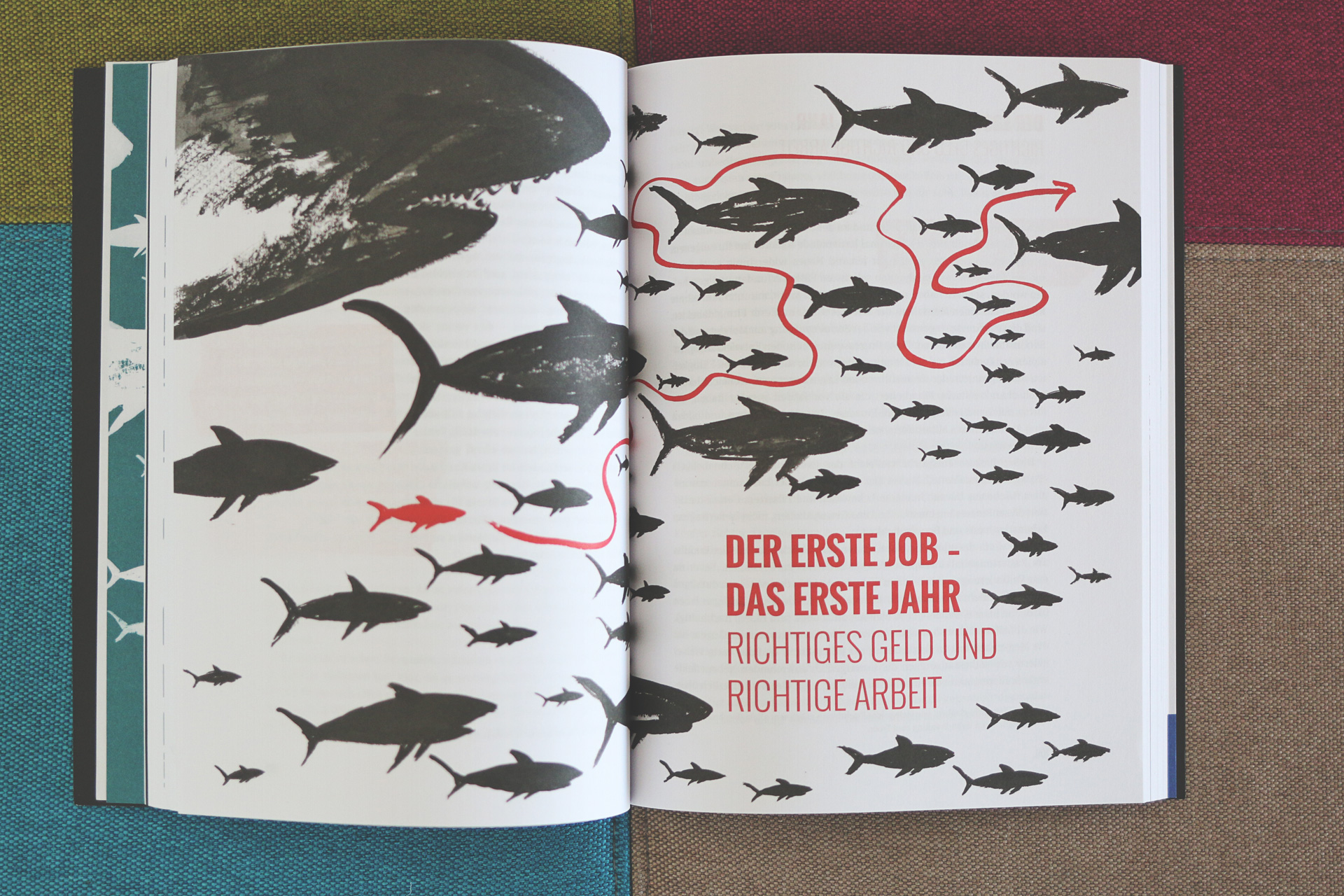 Von der Badewanne ins Haifischbecken   Jan Hochbruck   Rheinwerk (7)