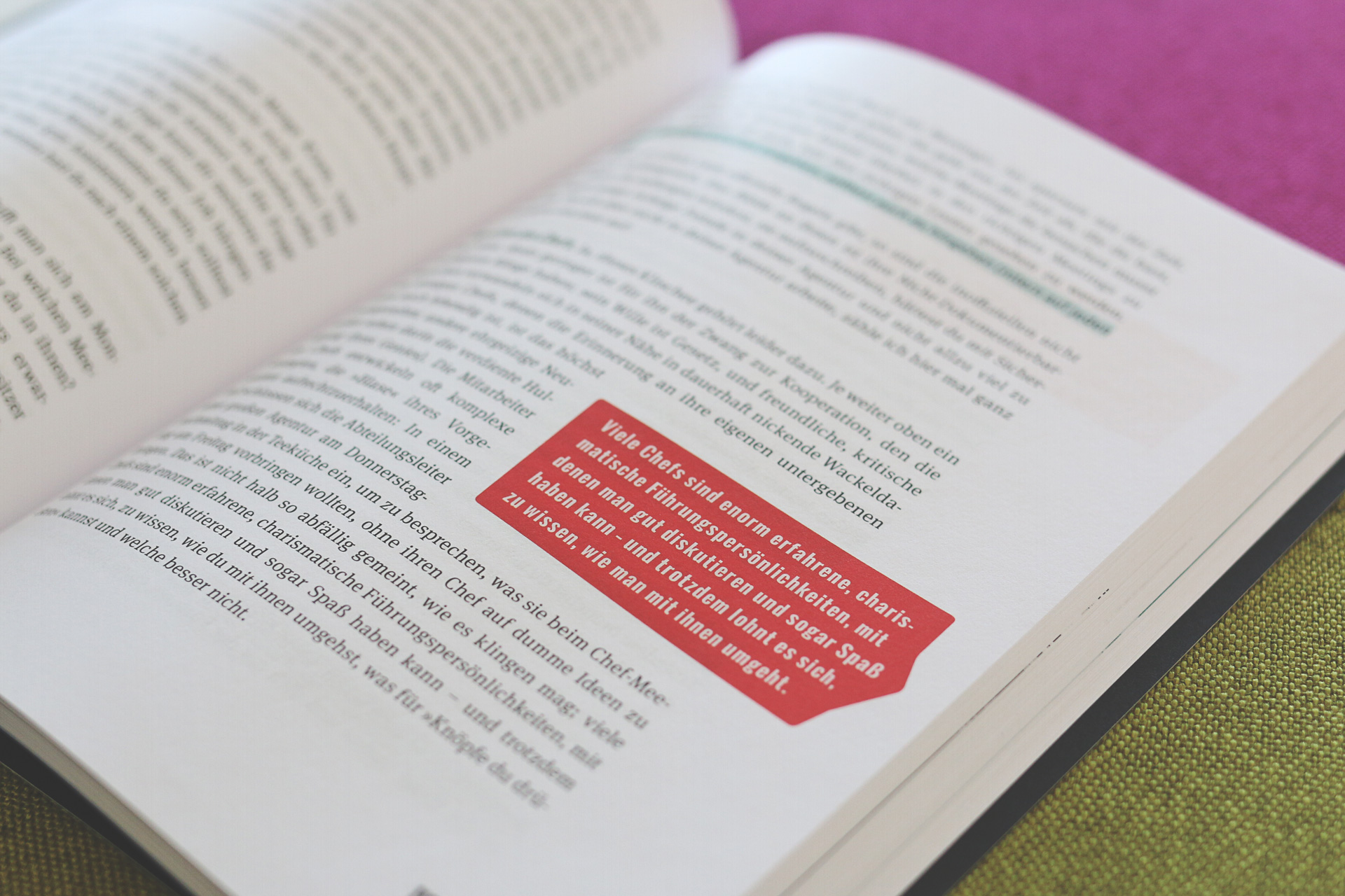 Von der Badewanne ins Haifischbecken   Jan Hochbruck   Rheinwerk (8)