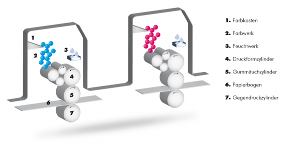 Schema des Offsetdruckverfahrens im Detail
