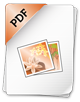 PDF Icon small