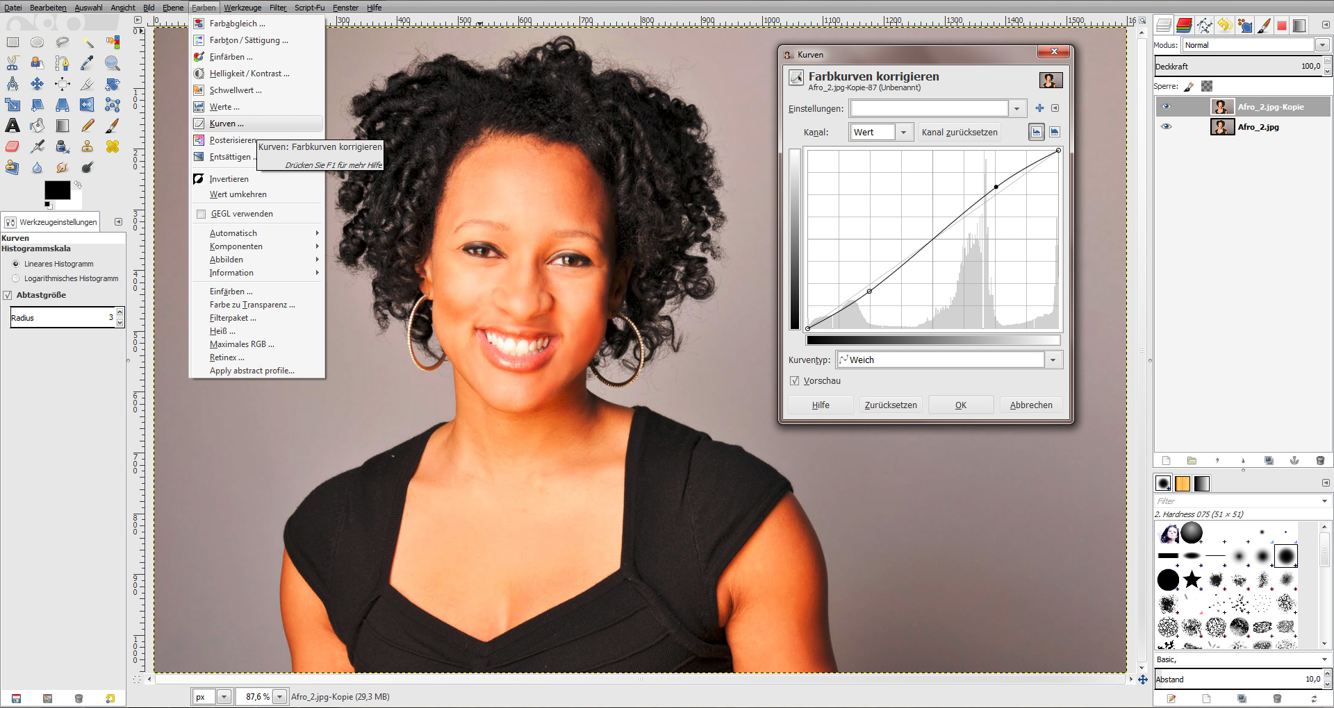 Tutorial Haare freistellen GIMP 10
