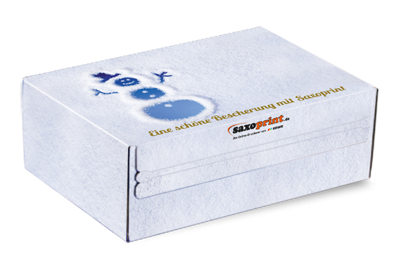 versandkarton vorlage karton fertig