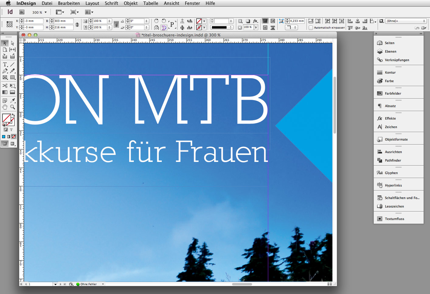 Titel Broschüre Indesign