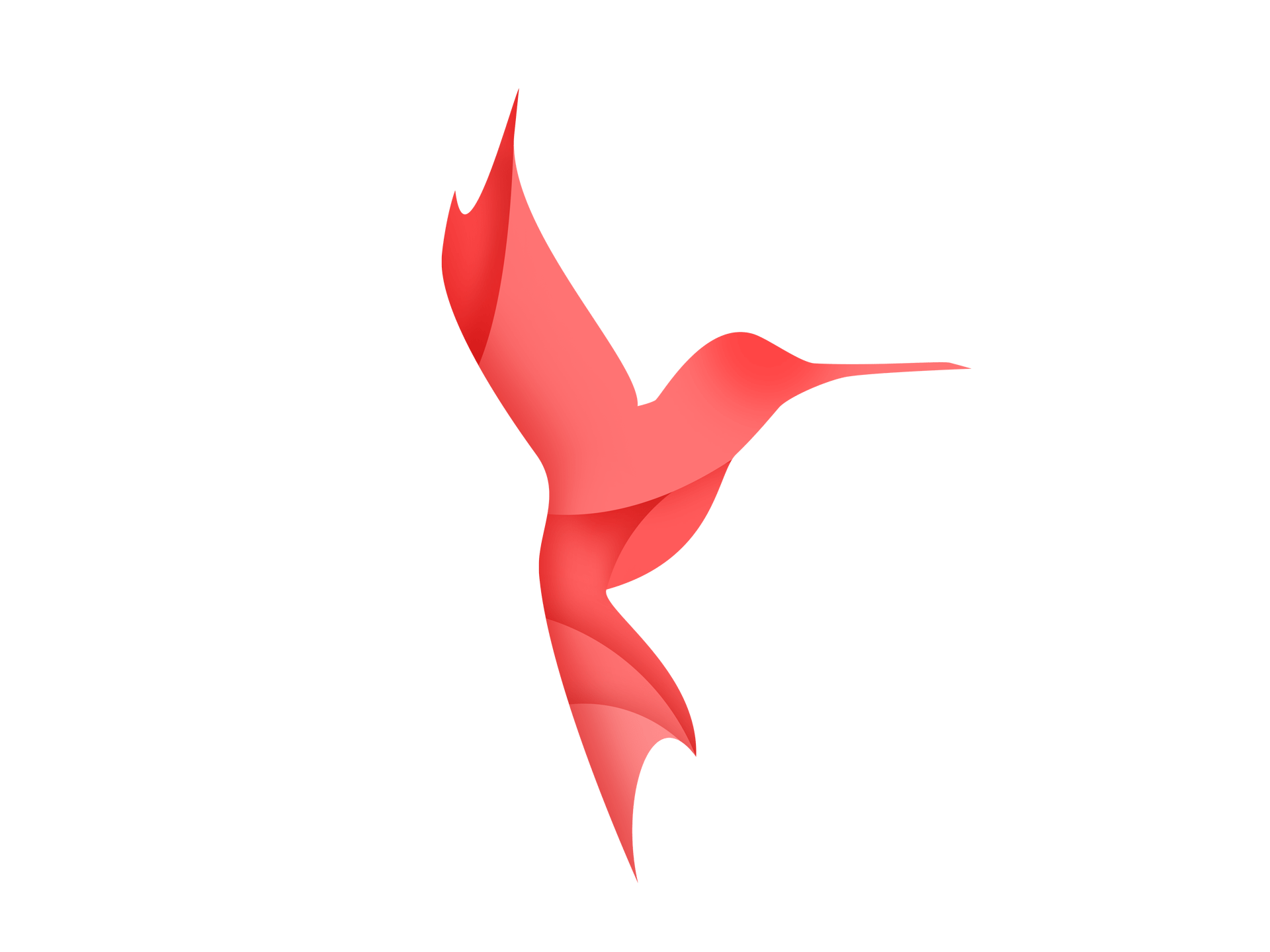 Interview mit Karsten Teßmann (Kolibri Logo)