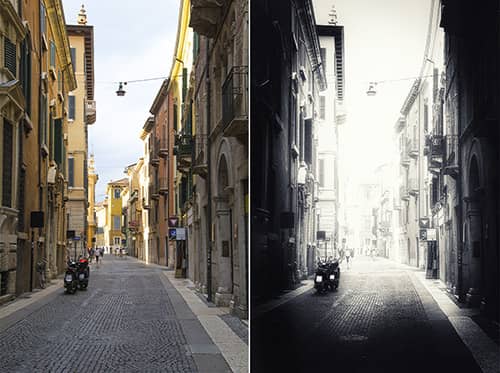 Michael Zogot Verona