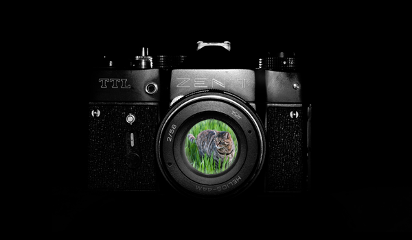 Tutorial: Analog Effekt in Photoshop erstellen