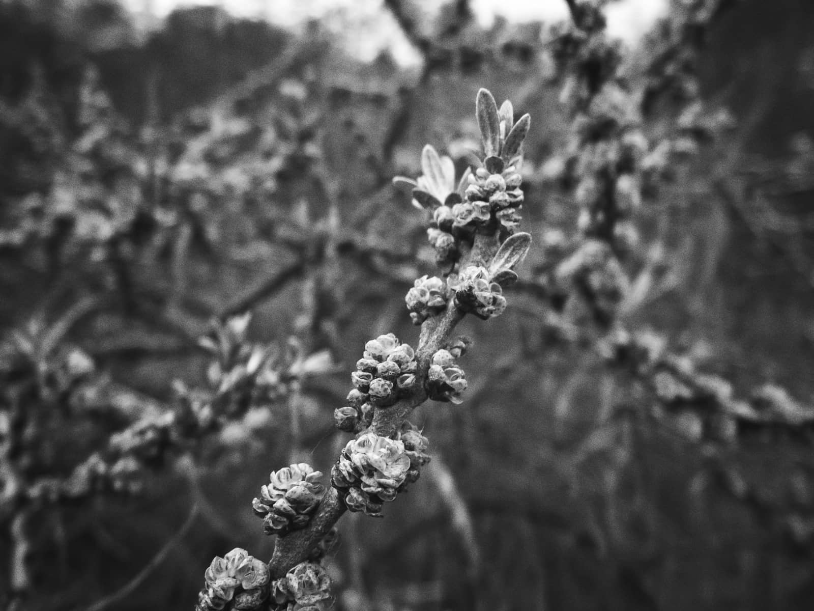 Mit einem Foto Effekt den Photoshop Analog Look nachempfinden (14)