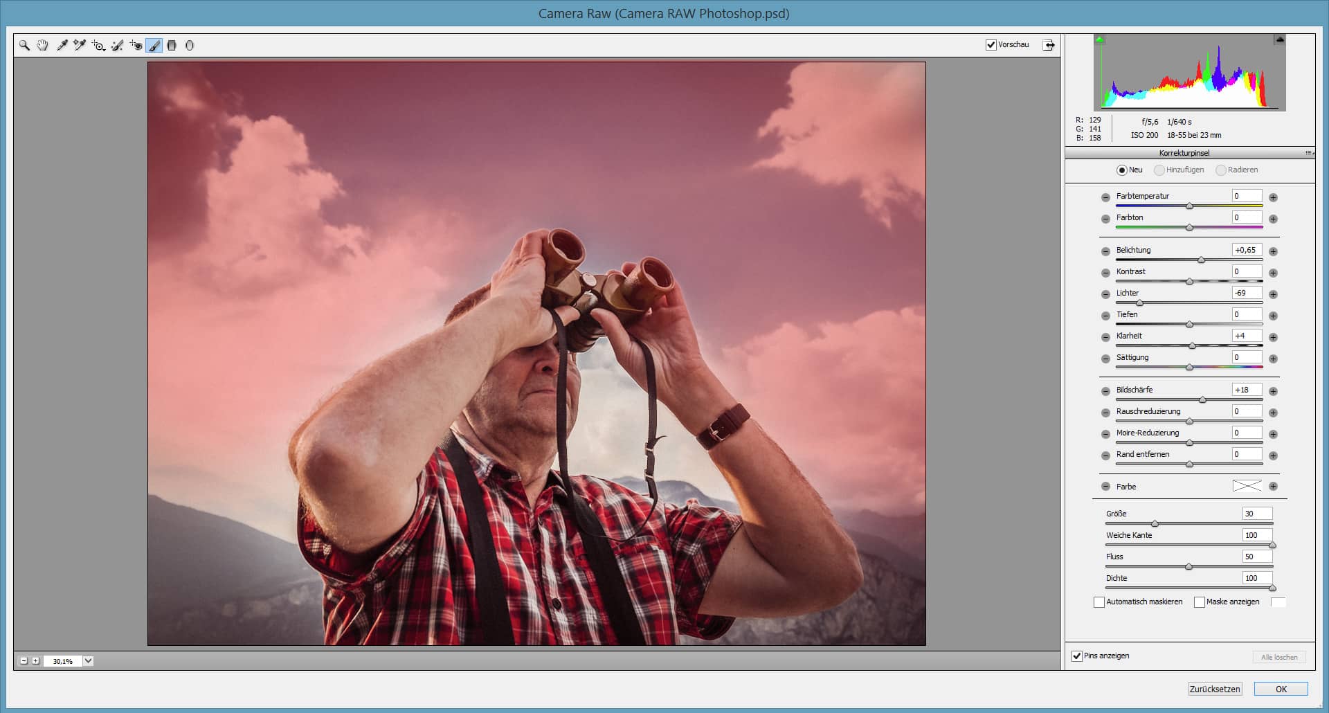 Camera RAW Photoshop 19