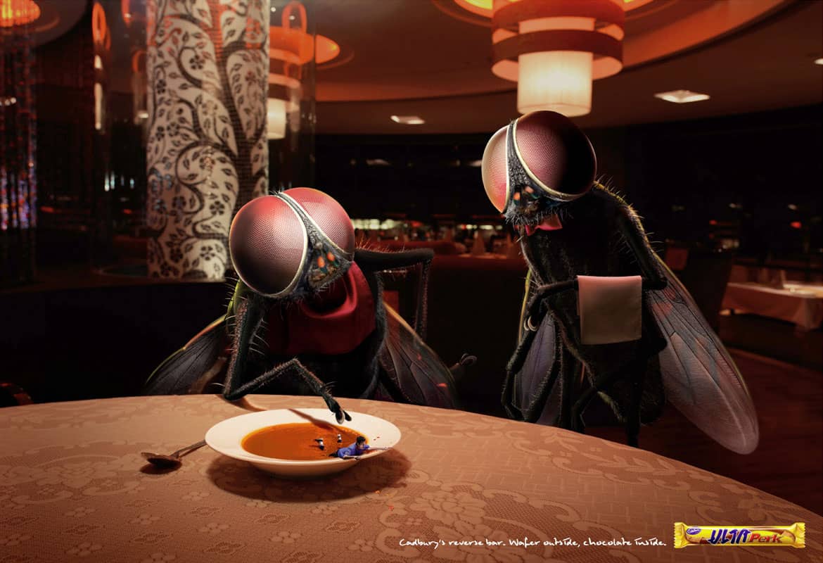 fliegen die am tisch sitzen