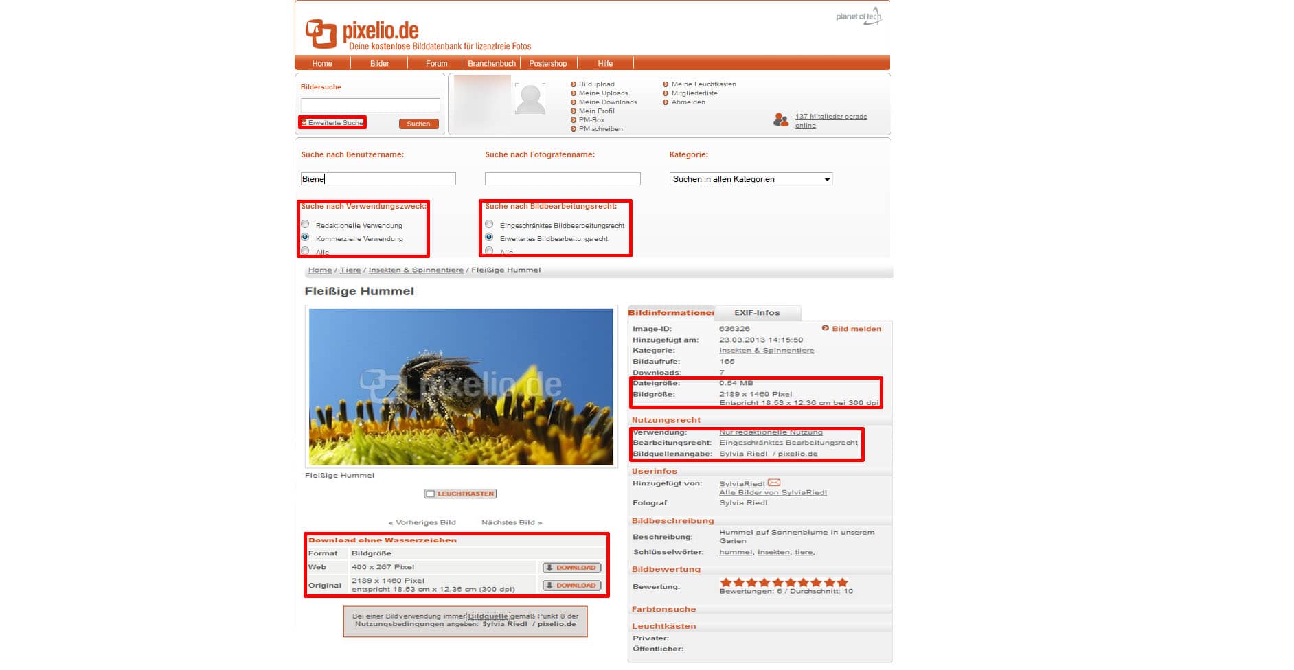 Informationen zur pixelio Bilddatenbanken