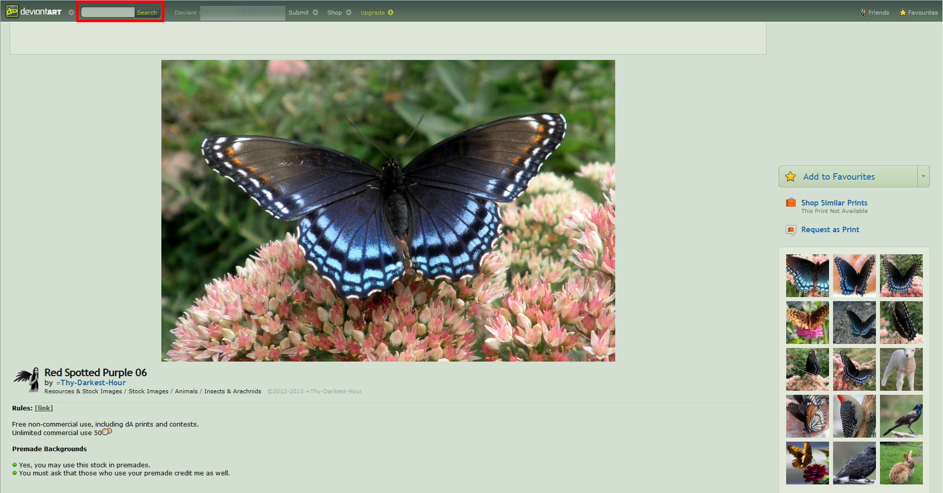 Informationen zur deviantART Bilddatenbanken