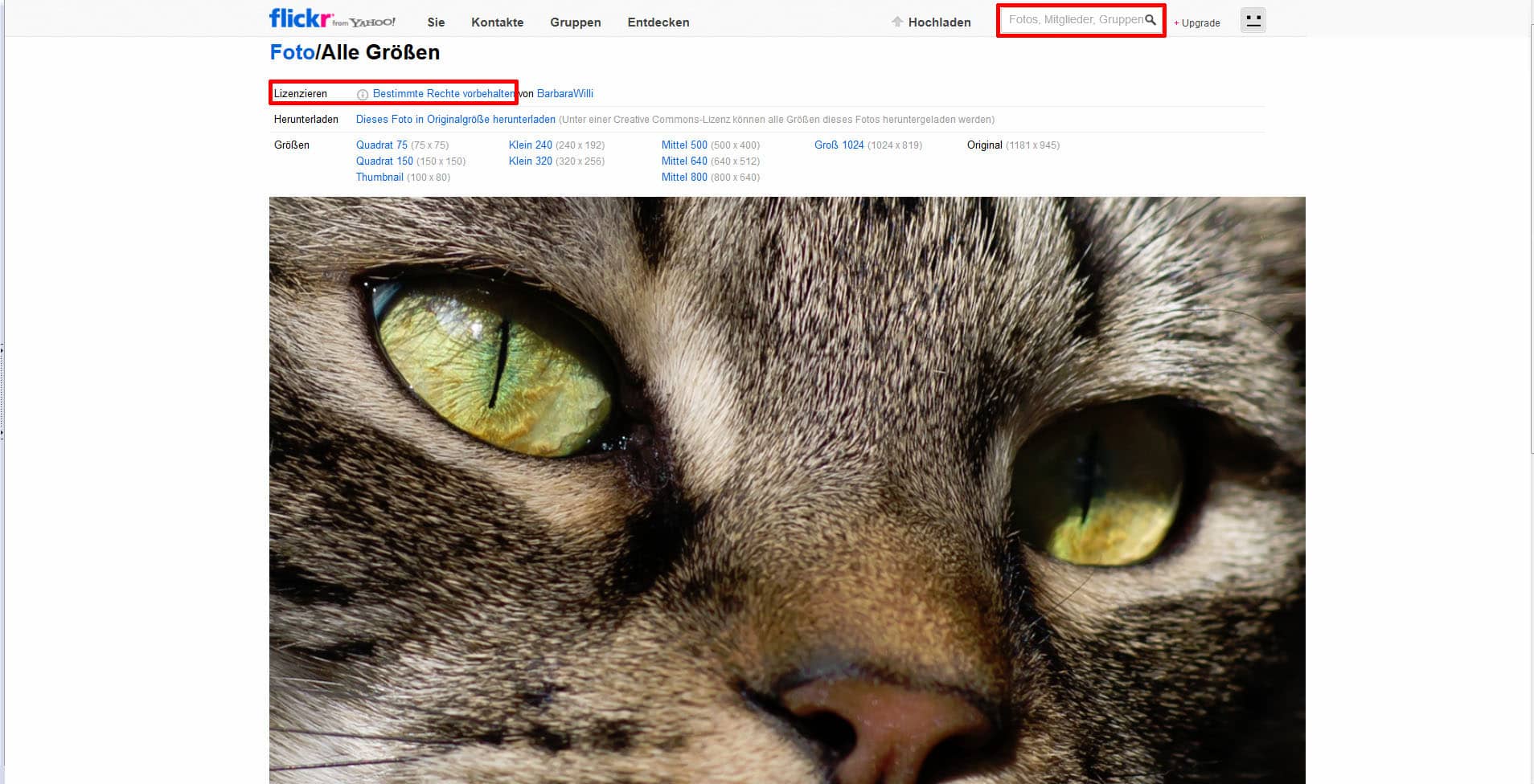 Informationen zur Flickr Bilddatenbanken