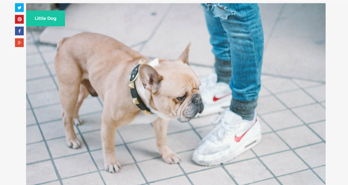 Life of Pix homepage