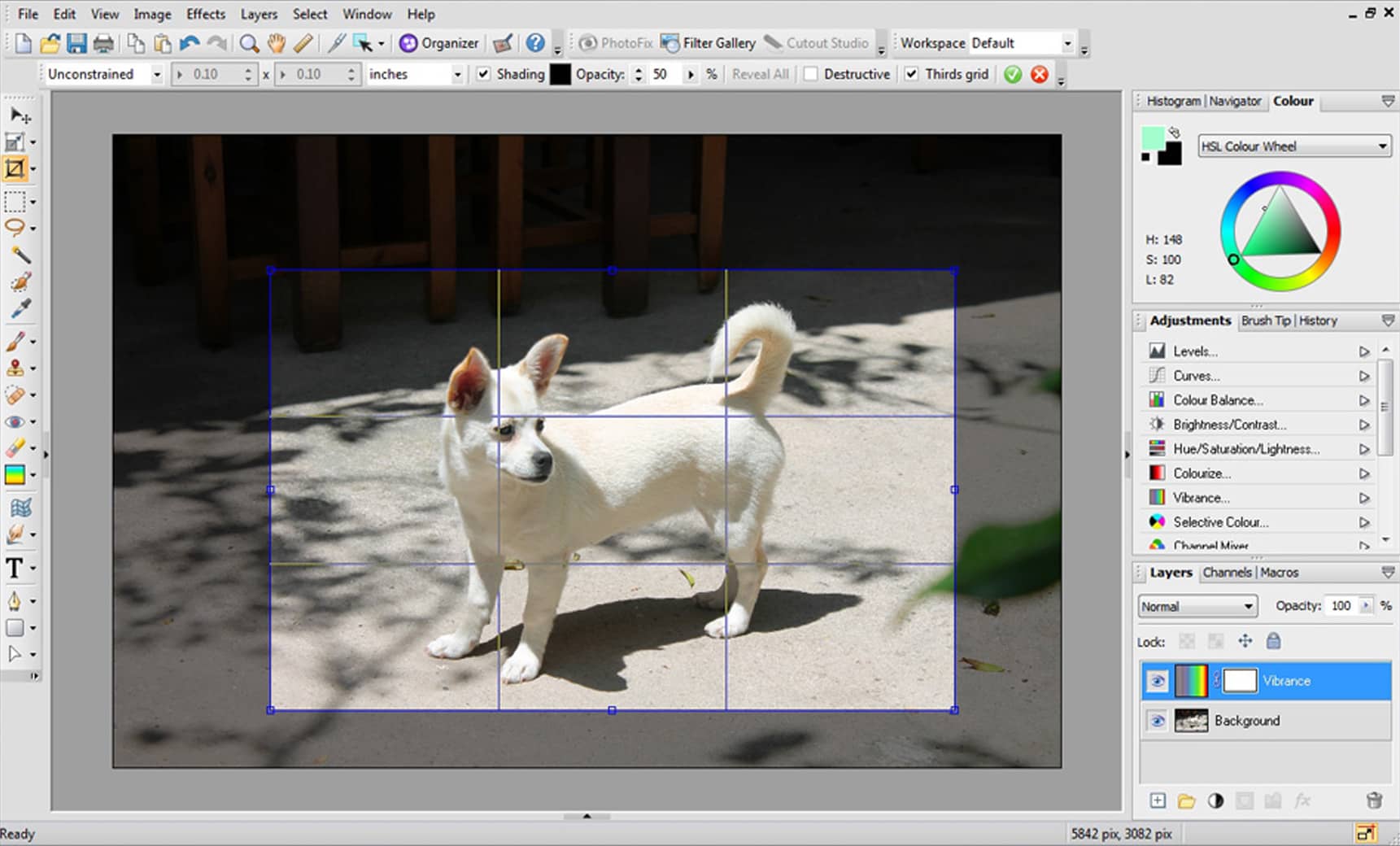 Creative Cloud Photoshop Alternative Freeware kostenlos Windows
