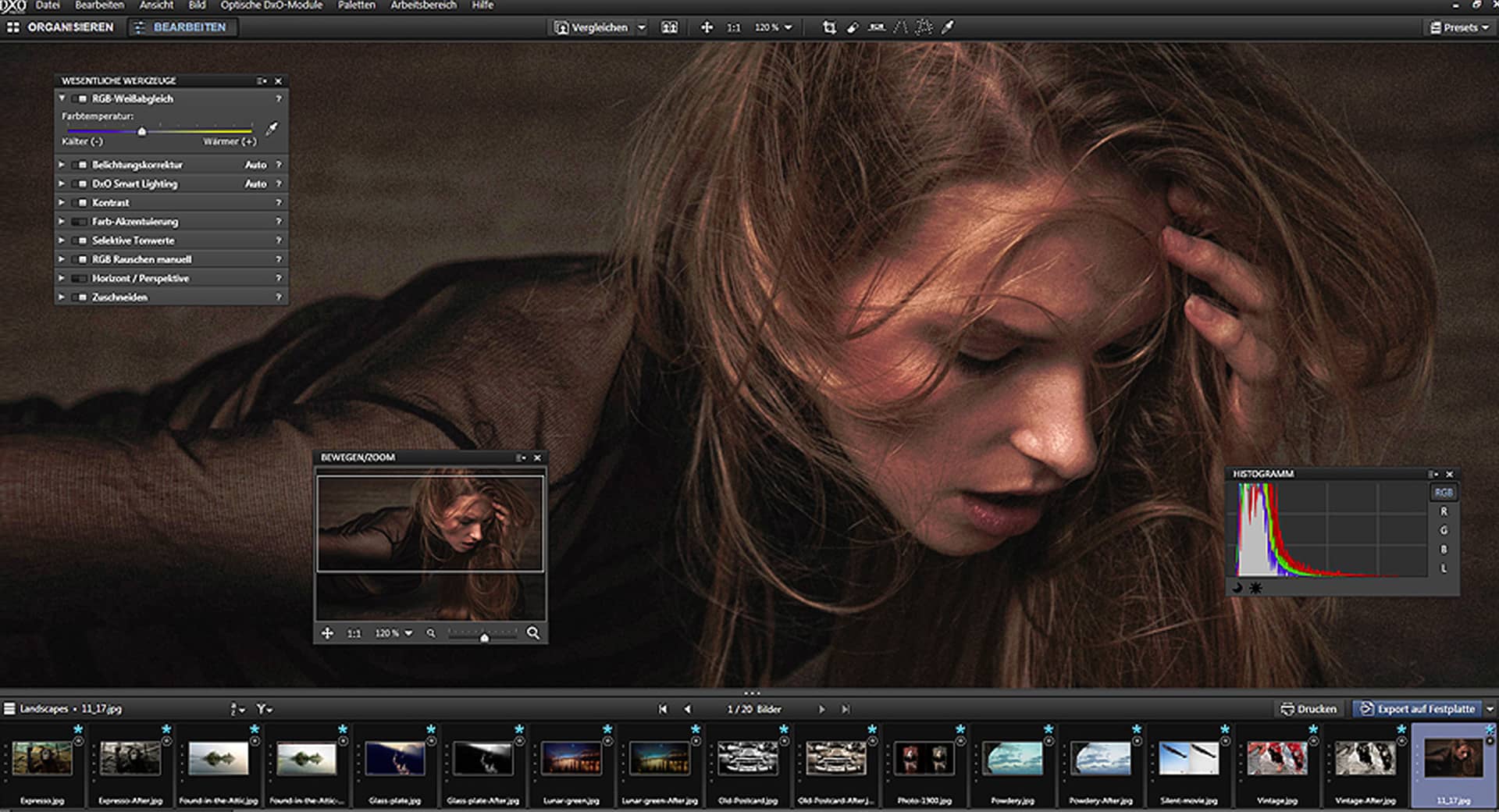 Photoshop Alternative „DxO Optics Pro“