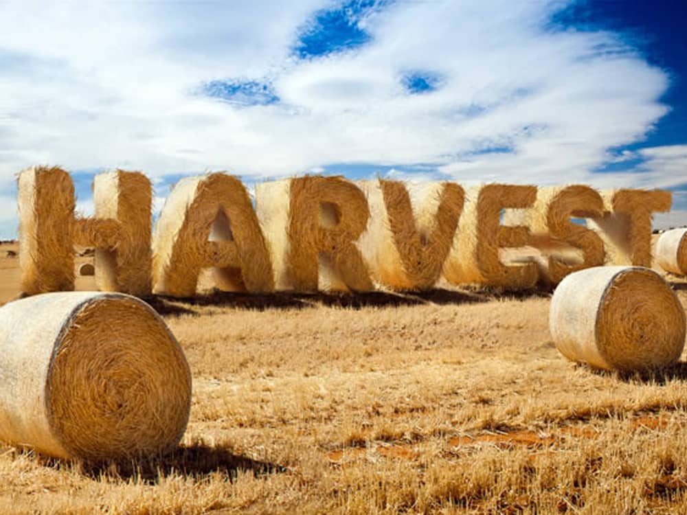 Schrift Effekte für Photoshop 12