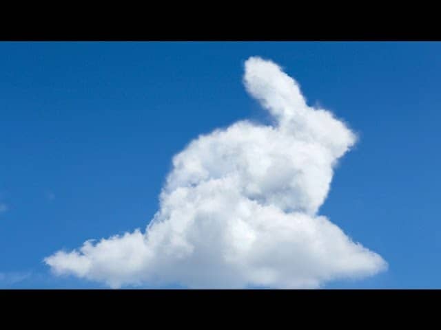 Wolken-Hase