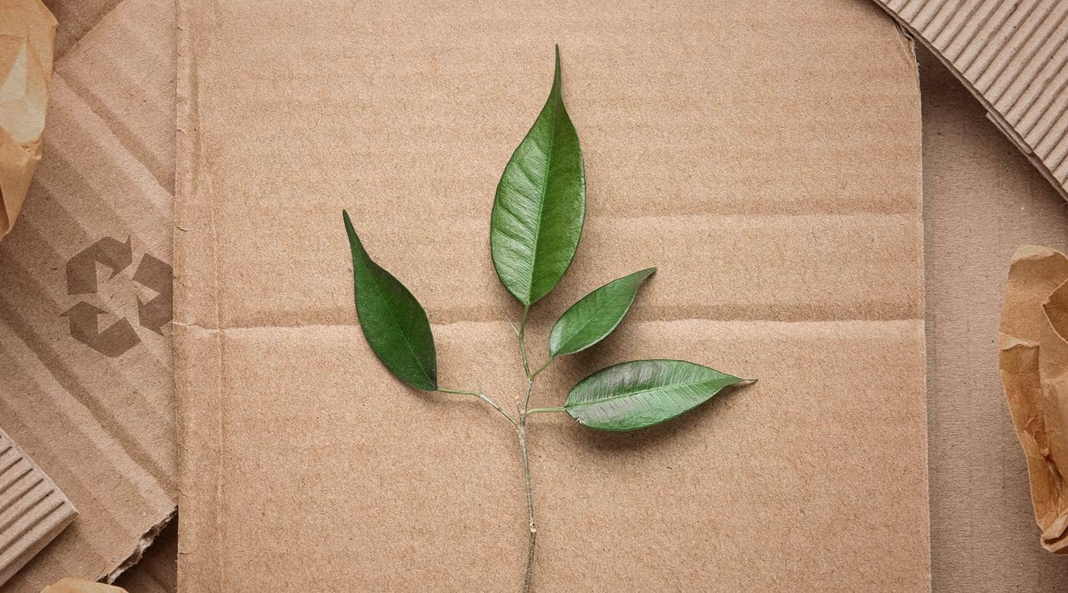 Nachhaltigkeit bei SAXOPRINT