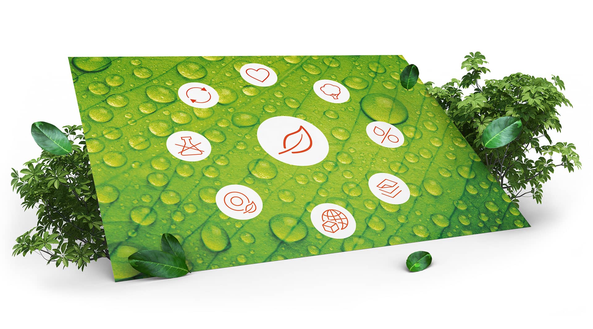 Unsere umfangreichen Umweltmaßnahmen