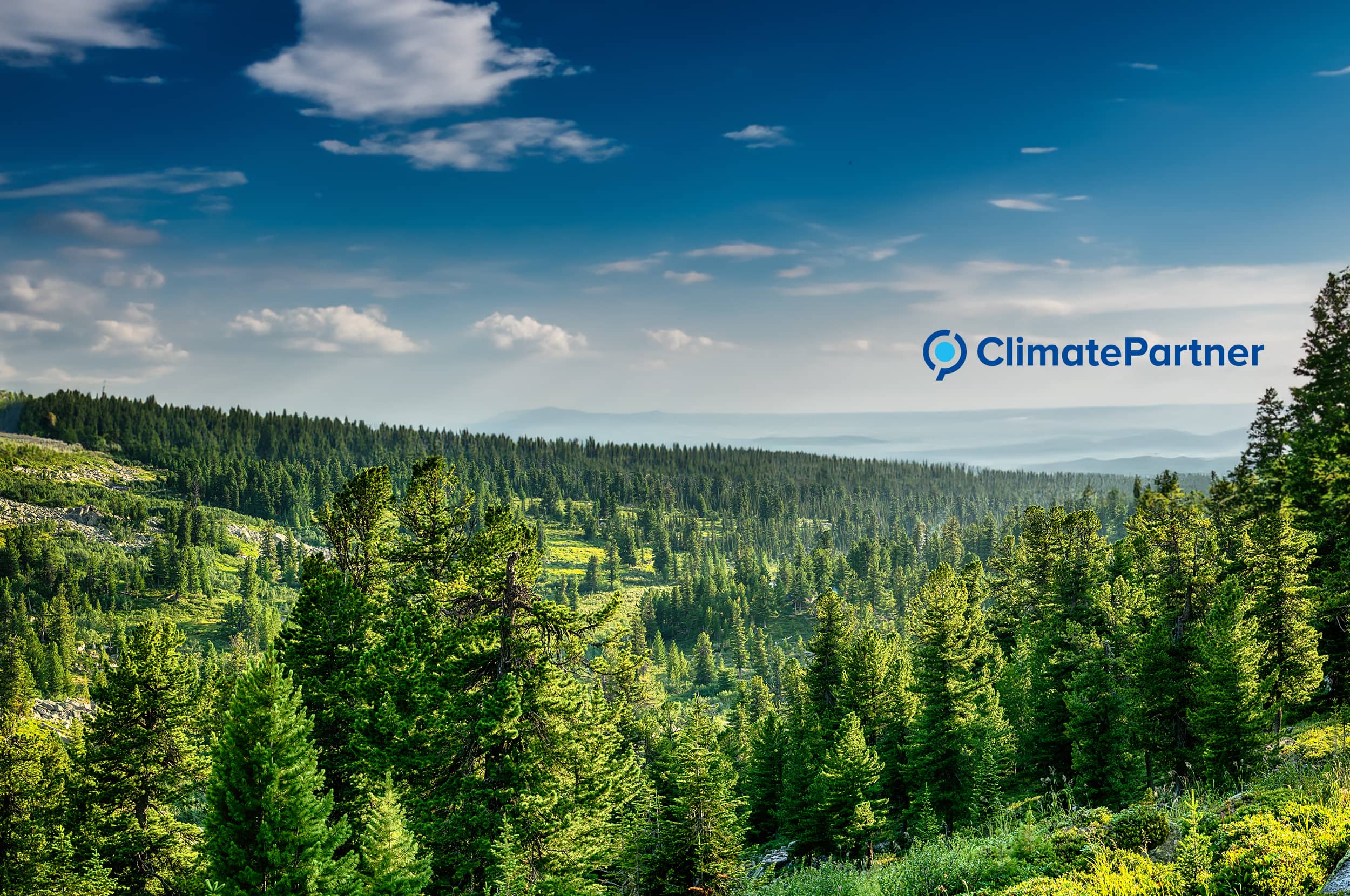 ClimatePartner Projekt Harz