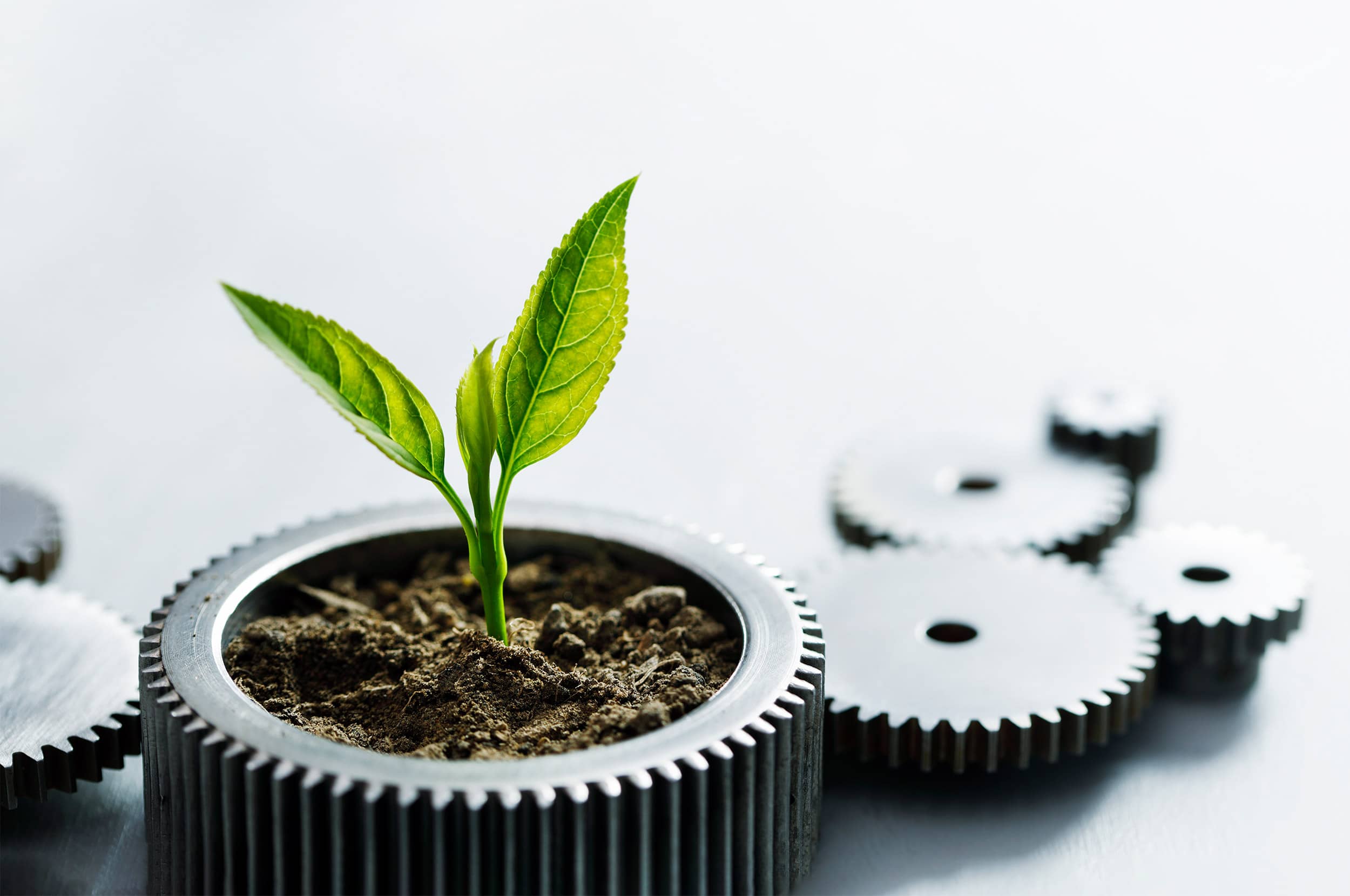 Interner Umweltschutz bei SAXOPRINT