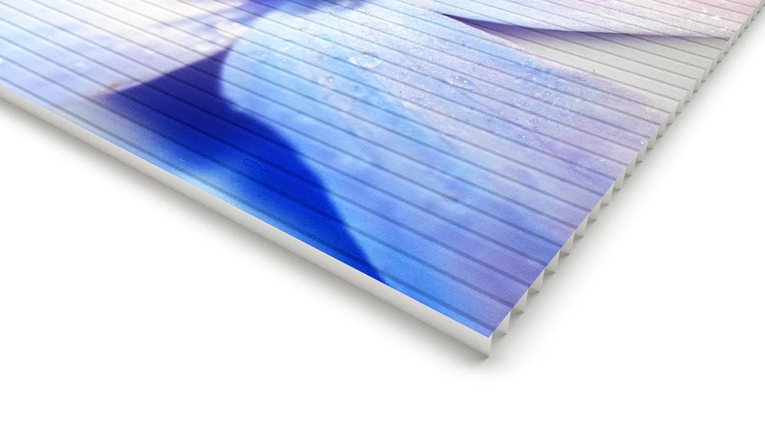 Wandbilder mit Hohlkammerplatte