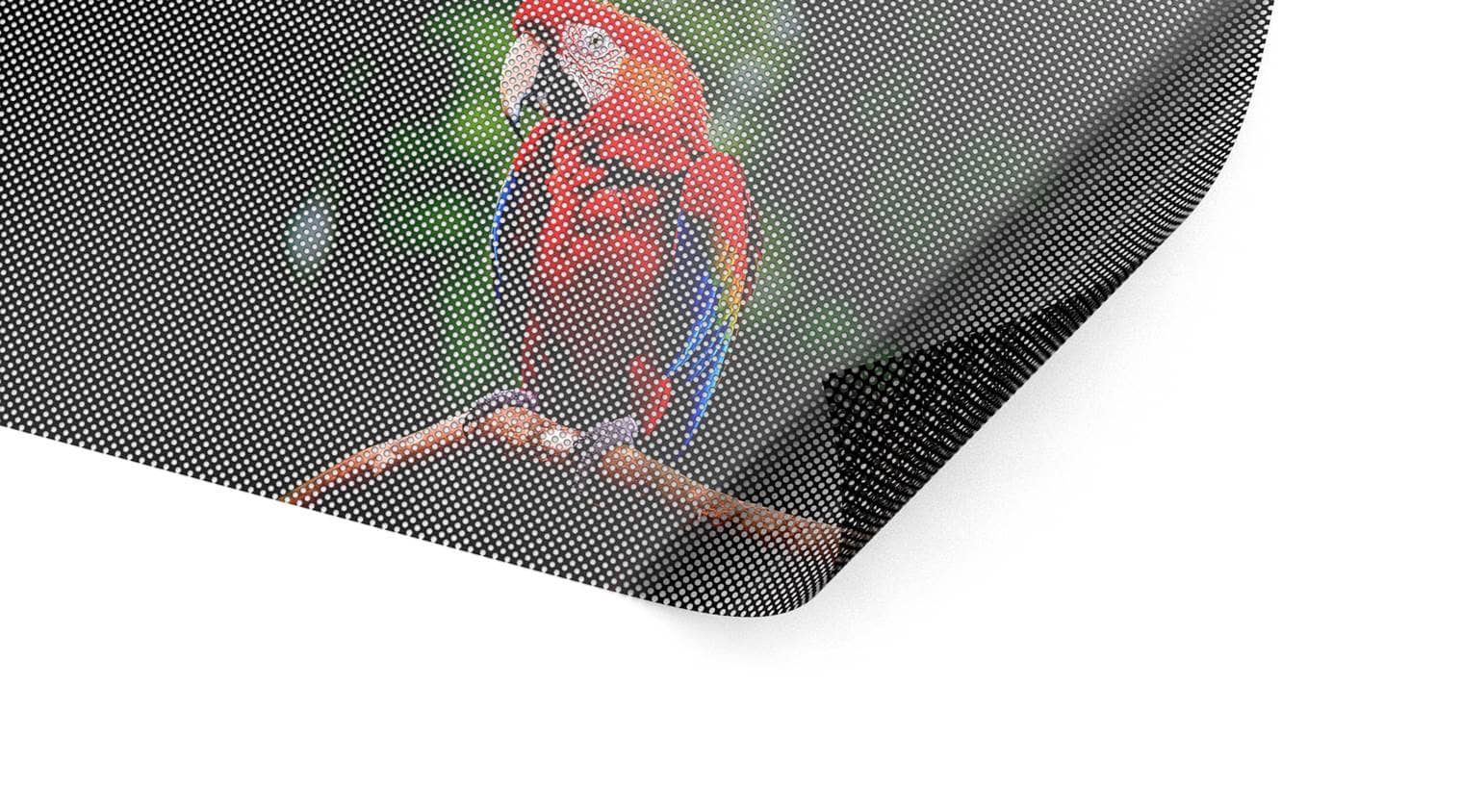 Detailbild unserer Fensterloch Folie, die einen Papagei darstellt