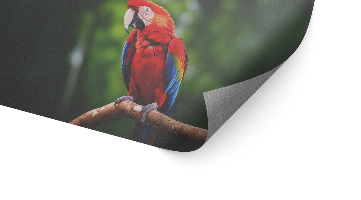 Detailbild unserer Glasdekorfolie, die einen Papagei darstellt