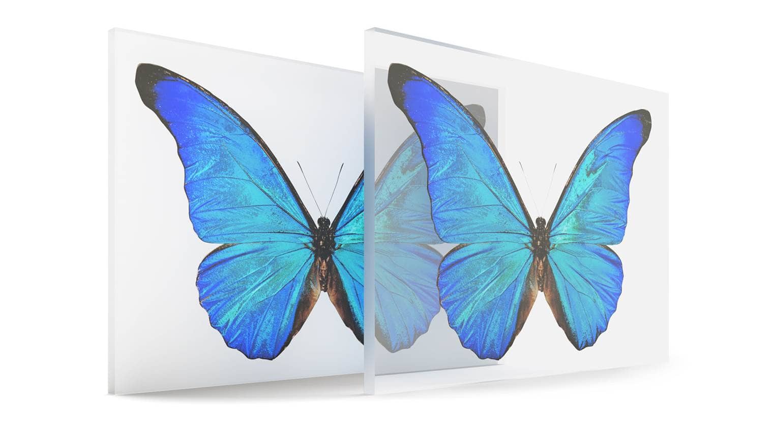 Wandbilder mit Acryl Weißdruck