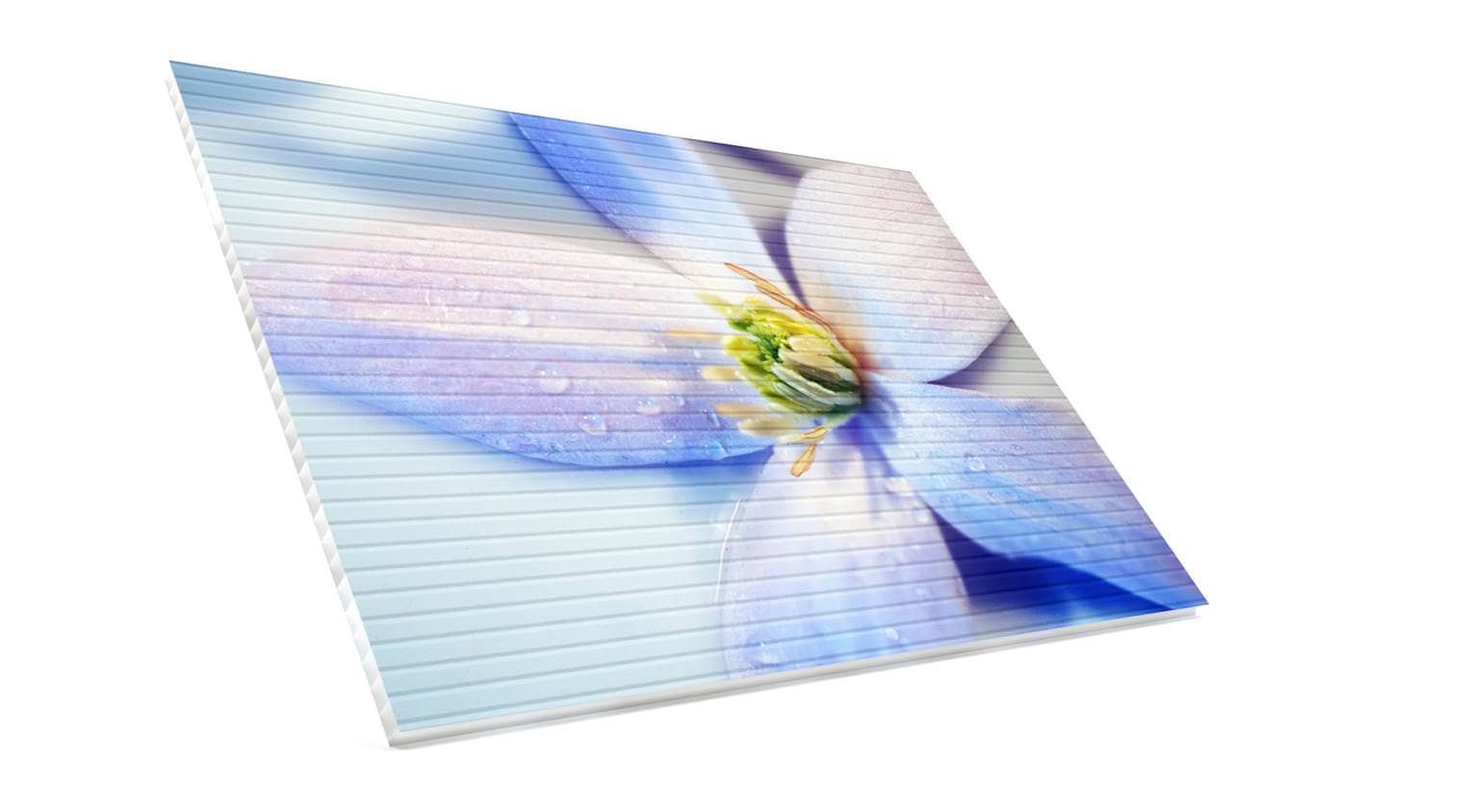 Wandbilder mit Hohlkammerplatte