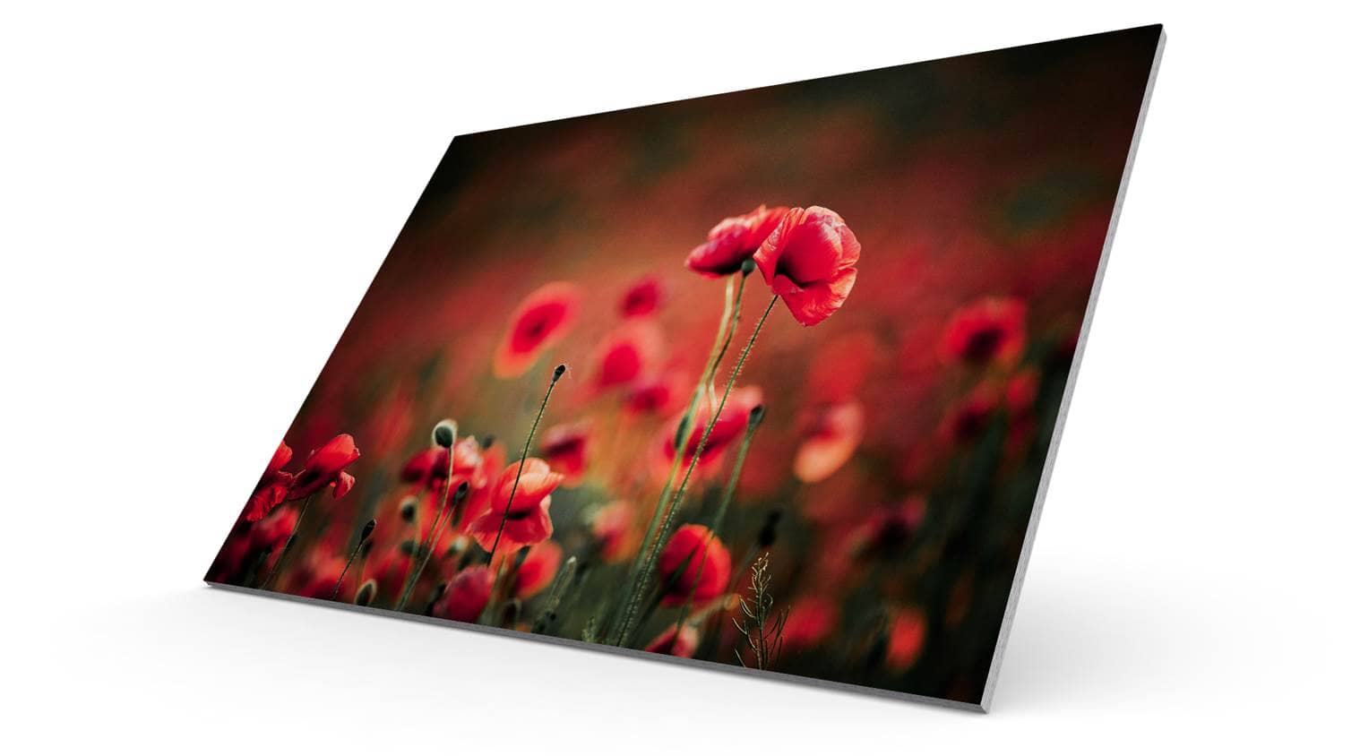 Wandbild auf Papierplatte