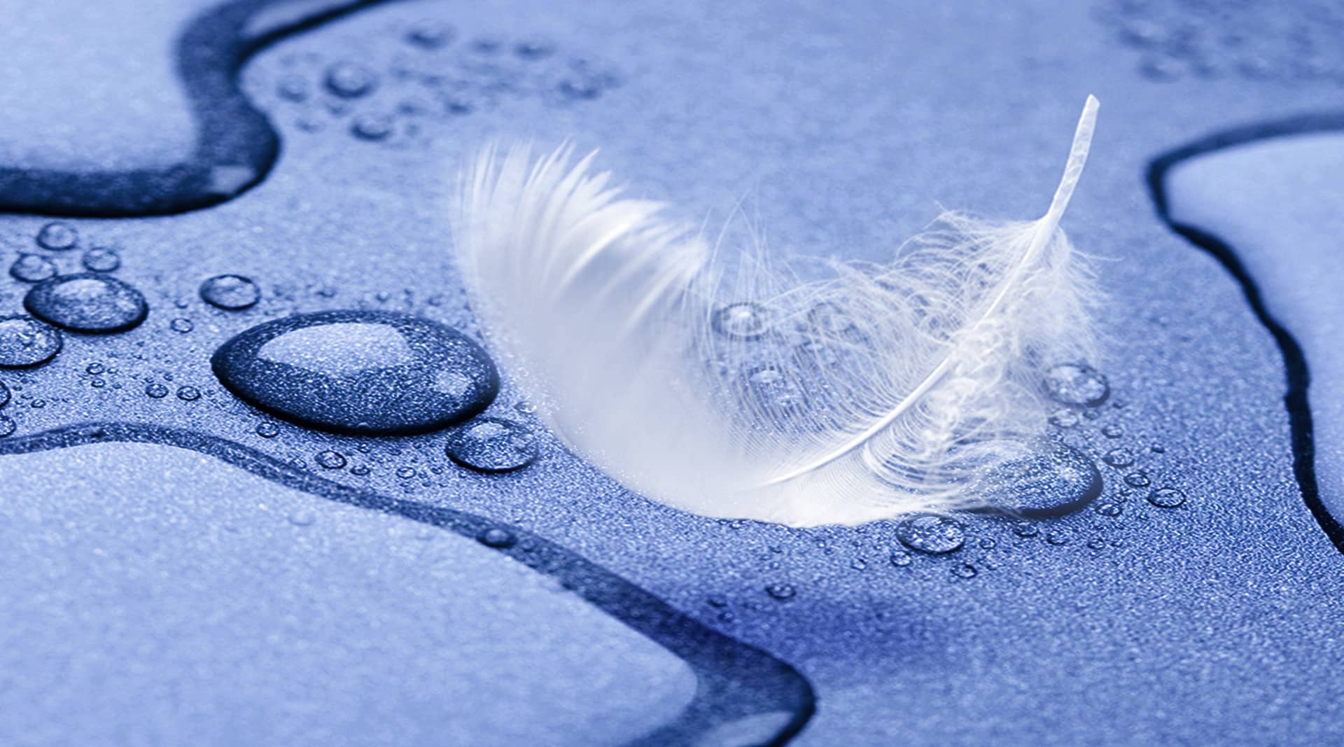 Cellophanierung Bild